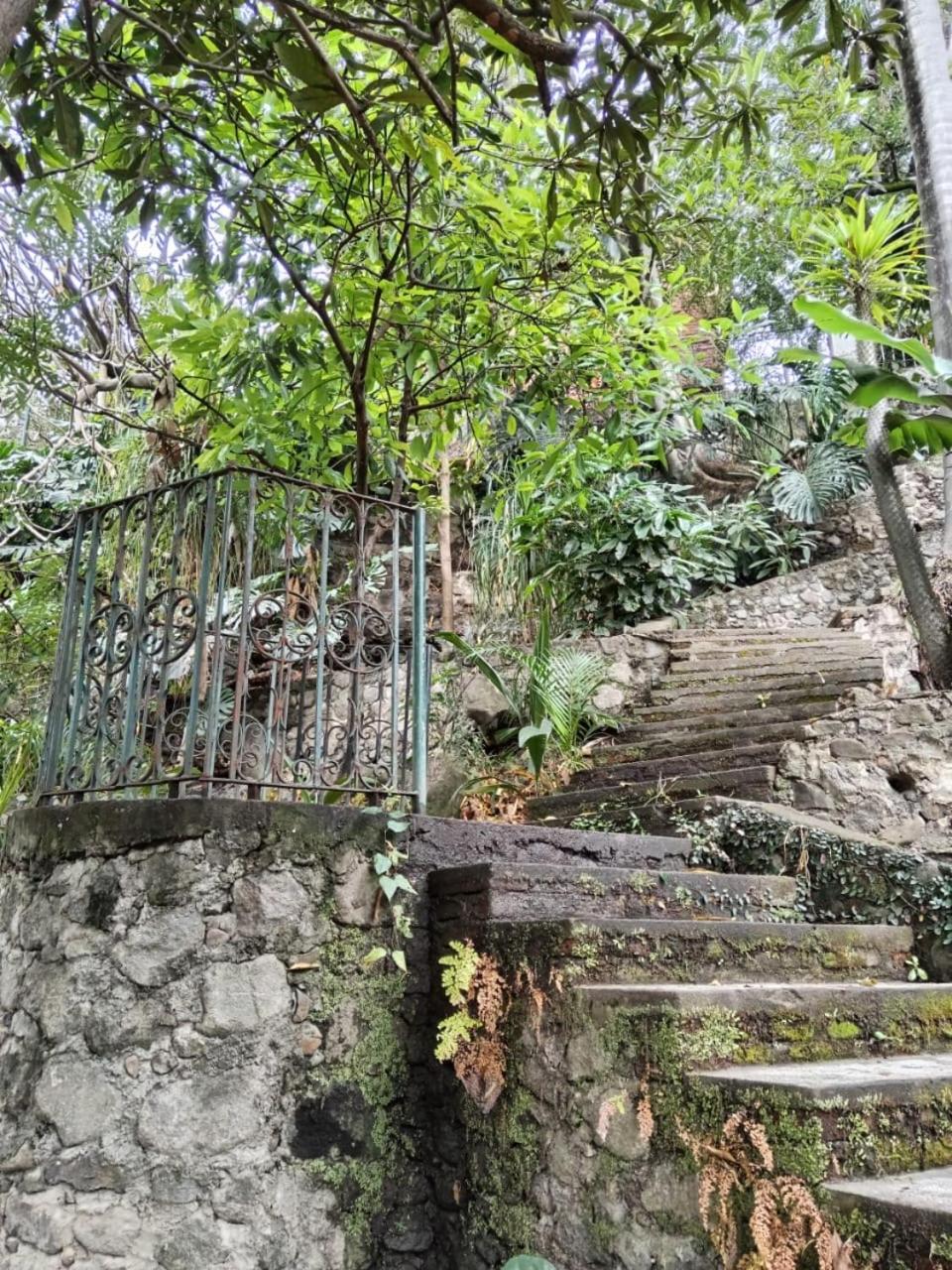 מלון קוארנבאקאבה Palmira מראה חיצוני תמונה
